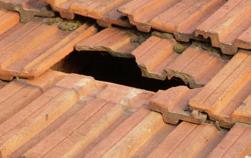 roof repair Luccombe, Somerset